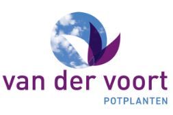 Van der Voort Potplanten