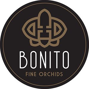 Bonito Plant